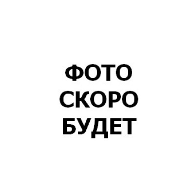 Артамонова Ксения Павловна